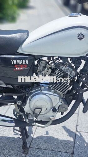 YB125SP trắng BSTP zin keng chính chủ