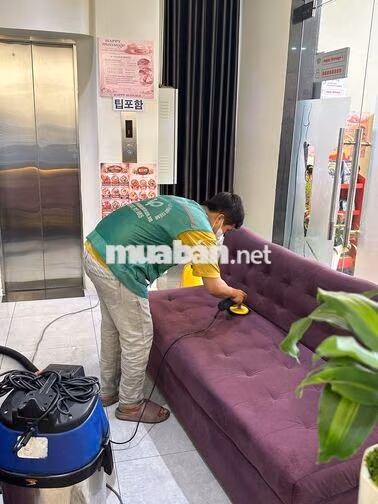 TUYỂN NHÂN VIÊN GIẶT SOFA, NỆM TẠI TPHCM