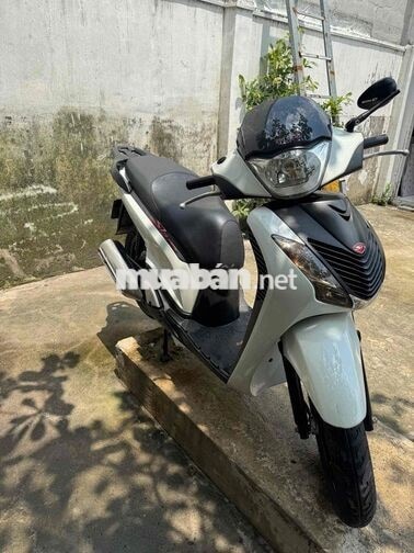 Honda SH Ý 2011 Trắng
