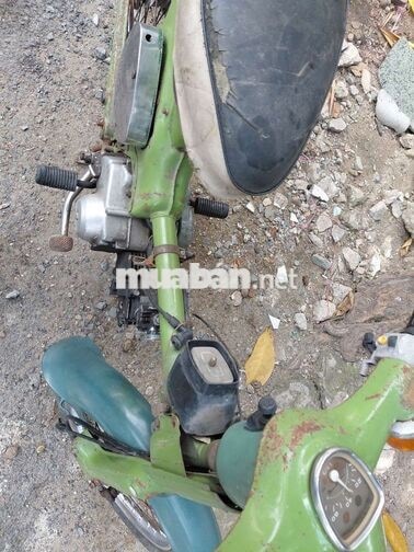 Honda Cub cổ Z2DK Xanh zin nhật