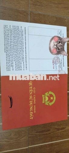 CHÍN CHỦ CẦN BÁN ĐẤT K ĐƯỜNG BÀ BANG NHÃN