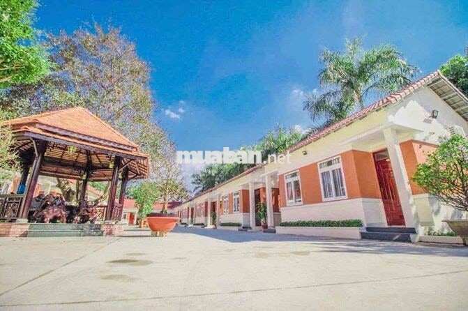❌TẶNG FREE 1TH TIỀN THUÊ❌ CHO THUÊ CĂN HỘ MINI NGAY ĐẠI HỌC BÌNH DƯƠN
