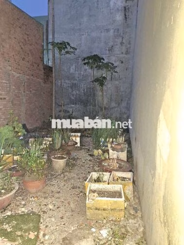 📢LÔ ĐẤT THỔ CƯ 70M²- 5X14M-NGAY CHỢ BÌNH THÀNH, BÌNH HƯNG HÒA 3,65Đ