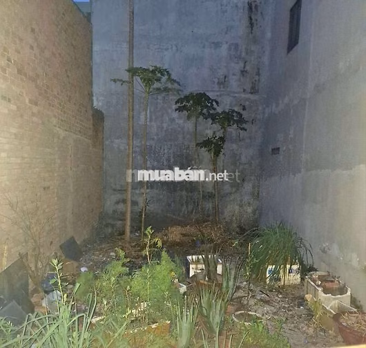 📢LÔ ĐẤT THỔ CƯ 70M²- 5X14M-NGAY CHỢ BÌNH THÀNH, BÌNH HƯNG HÒA 3,65Đ
