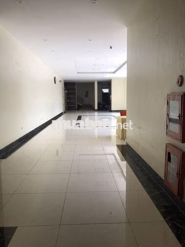 Cho thuê căn hộ 1PN 1WC, 41m2, giá siêu hời tại CT1 - 1