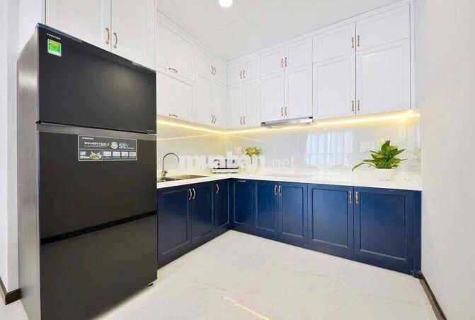 Cho thuê căn hộ 2PN 2WC. chung cư The Botanica. Phường 2 Tân Bình