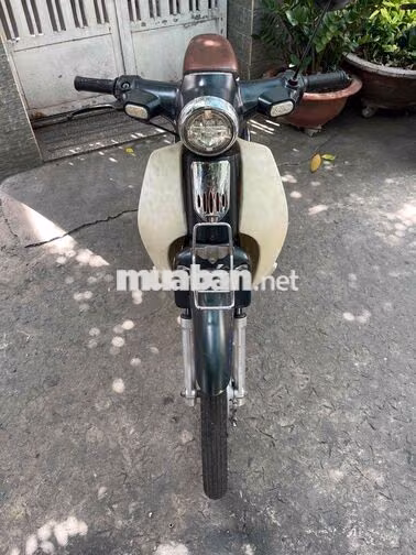 Honda Cúp 2022 Xanh Kem
