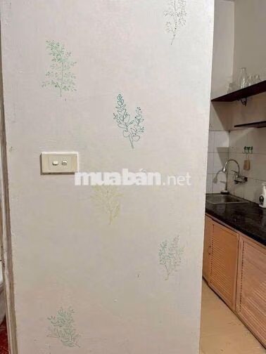 Phố Mai Dịch, Cho thuê căn tập thêt