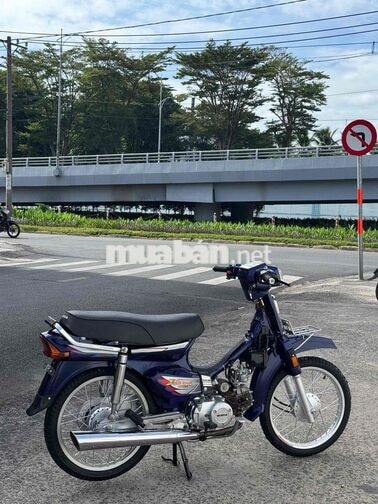 Honda tq up super xanh limited (bs60,gtdd.btc)