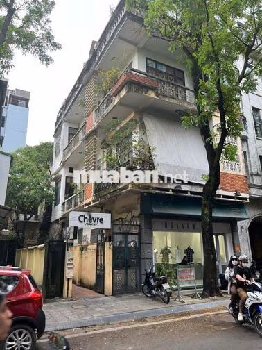 Cho thuê cửa hàng, văn phòng mặt phố Nguyễn Bỉnh Khiêm 