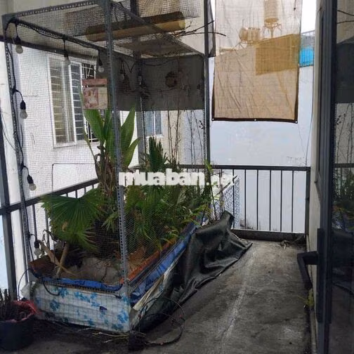 Phòng máy lạnh có ban công lầu 2 khu dân cư An Sương quận 12
