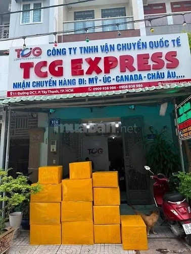 TCG Express – Giải pháp vận chuyển quốc tế chuyên nghiệp
