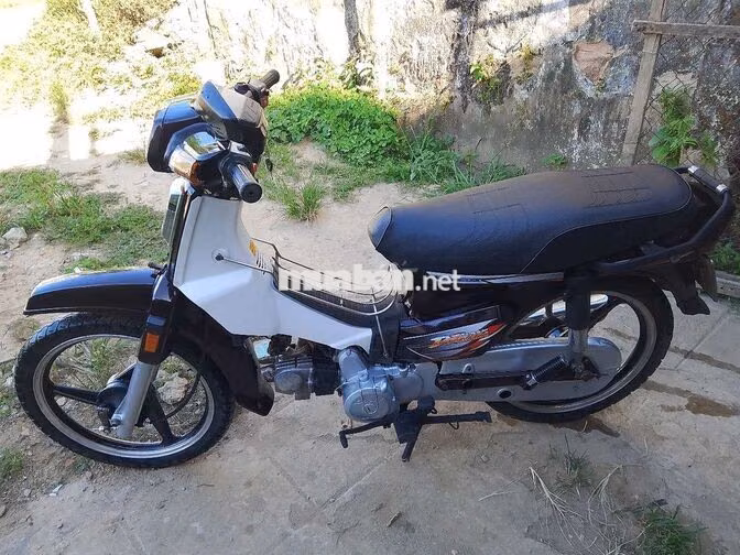 Honda Dream HQ Nâu, Trắng Việt Nam