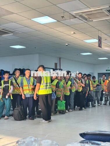 VIỆC LÀM THỜI VỤ DÀI HẠN LƯƠNG 2 TUẦN NHẬN 1 LẦN