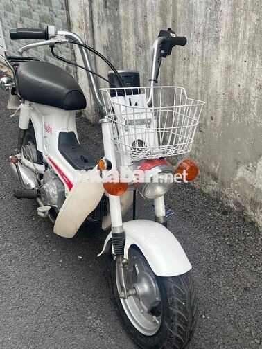 chaly 50 màu trắng