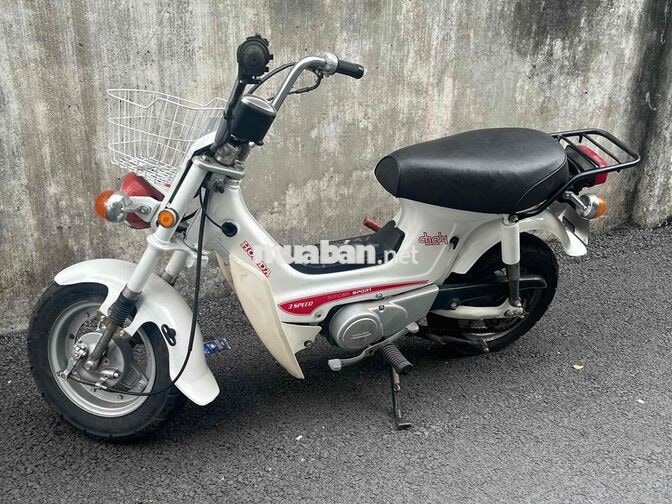 chaly 50 màu trắng