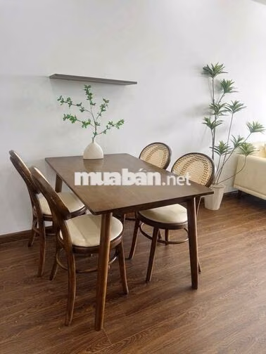 250Tr sẵn sổ Bình Dương-Góp 8tr/tháng-Không vay bank-Cho thuê 6tr/th