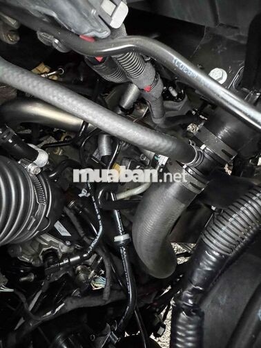 Ford Tourneo Titanium 2019 Nâu 7 chỗ