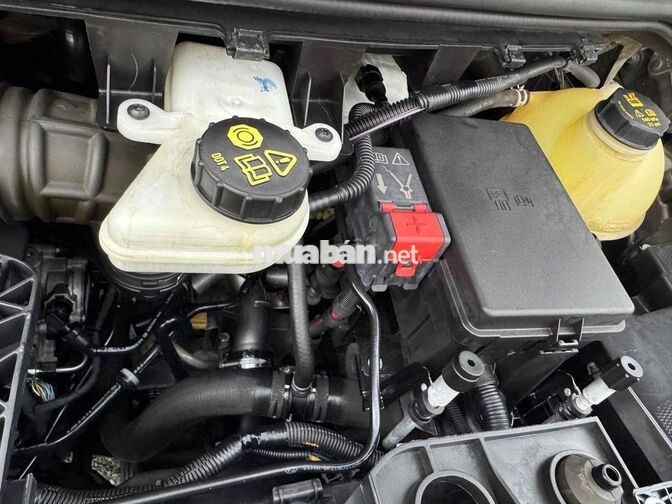 Ford Tourneo Titanium 2019 Nâu 7 chỗ