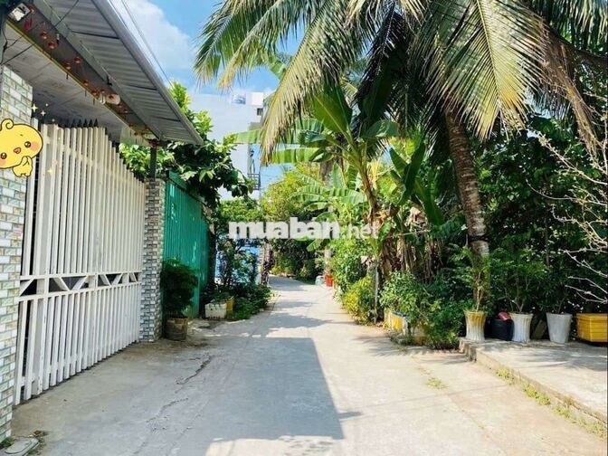 Cho thuê nhà sân vườn 1.300m2 thích hợp ở và kd cà phê sân vườn