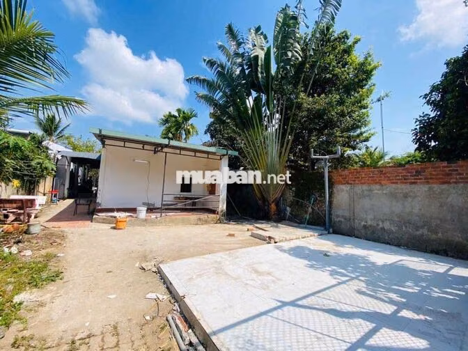 Cho thuê nhà sân vườn 1.300m2 thích hợp ở và kd cà phê sân vườn