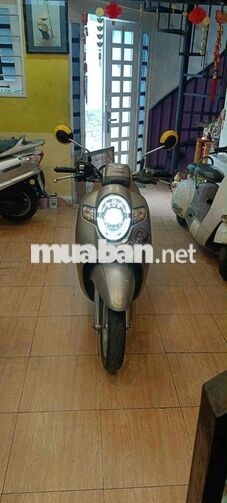 Honda Scoopy 2019 Thái Lan Bạc