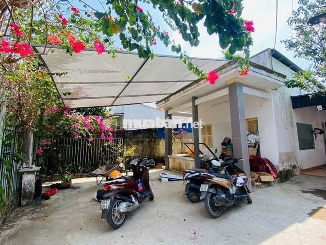 Cho thuê nhà sân vườn 1.300m2 thích hợp ở và kd cà phê sân vườn
