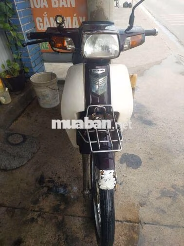 Honda Super Dream 2009 Nâu, Trắng