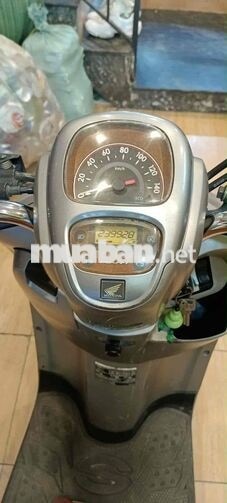 Honda Scoopy 2019 Thái Lan Bạc