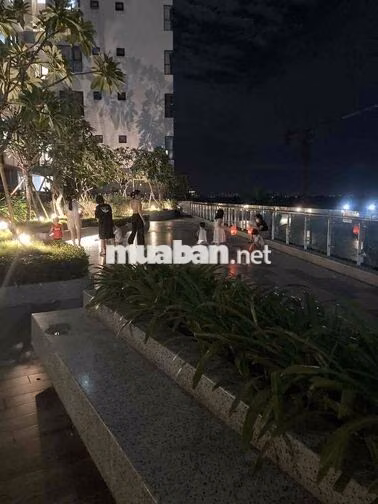 Chính chủ BÁN CĂN HỘ MIZUKI PARK – TOÀ MP2 – VIEW KÊNH ĐÀO & VƯỜN NHẬT