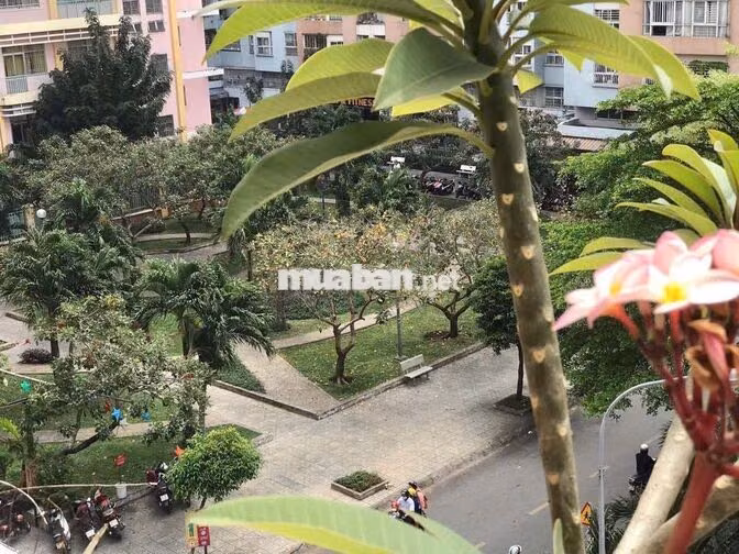 ❤️ CHO THUÊ CĂN HỘ BÀU CÁT 2 – VIEW SÂN BAY – DỌN VÀO Ở NGAY ✨