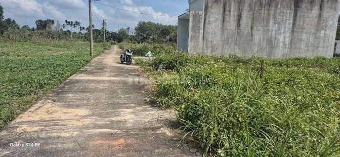 CẦN TIỀN BÁN GẤP LÔ ĐẤT XÃ NGHĨA KỲ