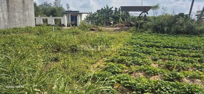 CẦN TIỀN BÁN GẤP LÔ ĐẤT XÃ NGHĨA KỲ