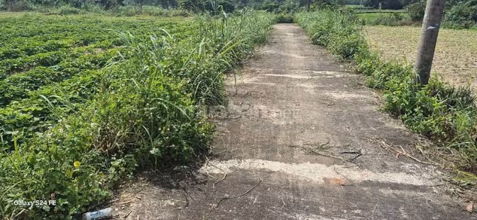 CẦN TIỀN BÁN GẤP LÔ ĐẤT XÃ NGHĨA KỲ