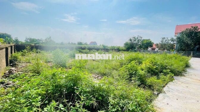Hơn 600tr sở hữu đất F0 đường ô tô. Giáp KCN Xuân Cẩm - Hiệp Hoà