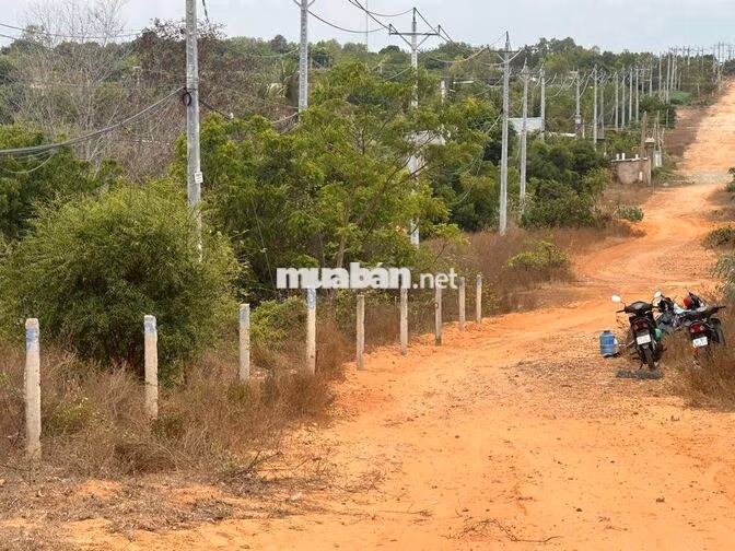 Đất mặt tiền DT716B (Bầu Trắng) Hòa Thắng Phan Thiết