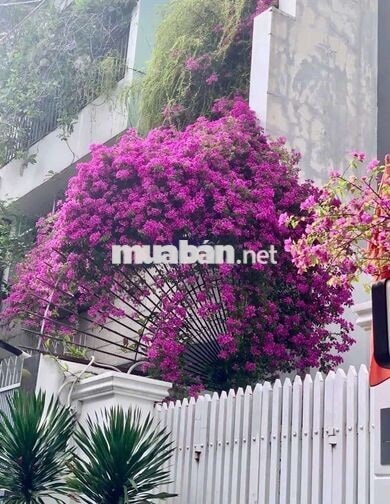 CHUNG CƯ 2 MẶT CỬA, CHỈ 8 Triệu. Q3