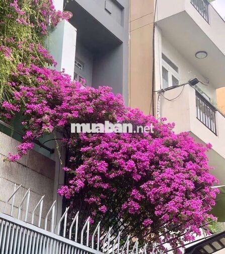 CHUNG CƯ 2 MẶT CỬA, CHỈ 8 Triệu. Q3