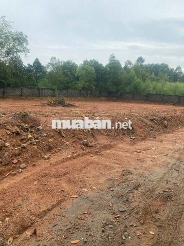 Đất F0 122m2 giáp KCN Tiên Sơn Ninh Sơn - Bắc Ninh. Đường ô tô 7 chỗ