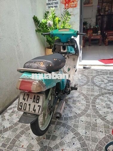 Max 50 Xanh ngọc