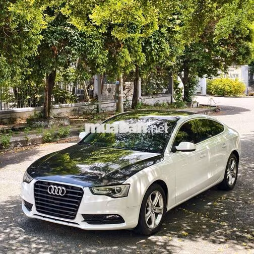 Audi A5 Sportback Trắng đen sport