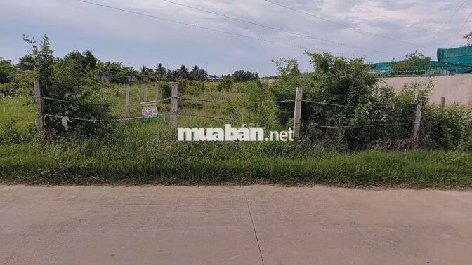bán 500m2 mt Nguyễn Thị Bài cần giuộc long an cũ