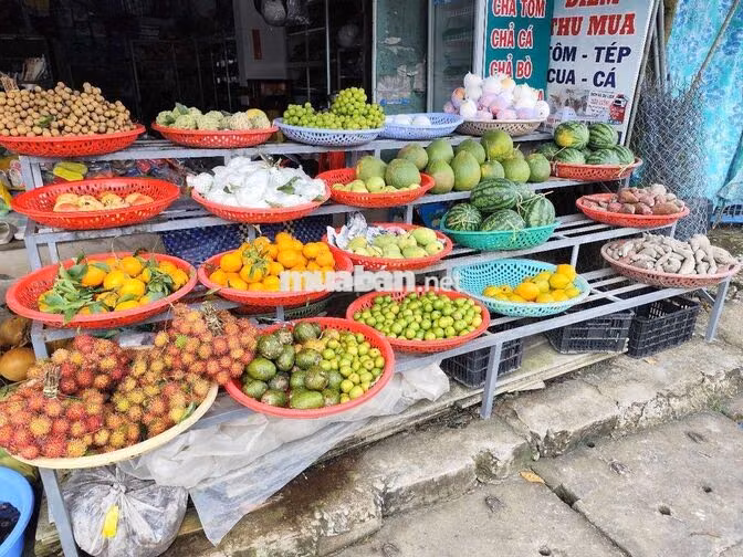 TÌM 2 SALE THỊ TRƯỜNG HẬU GIANG - ĐI LÀM NGAY