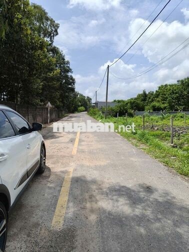 Bán đất xây dựng biệt thự - Villas ngay Hamptons Pier (Cầu ngắm biển)