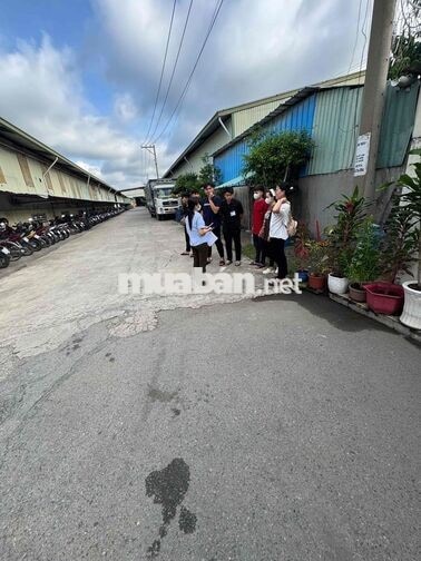 Công Ty May Mặc - Tuyển LĐPT