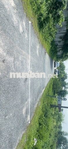 Bán đất xây dựng biệt thự - Villas ngay Hamptons Pier (Cầu ngắm biển)