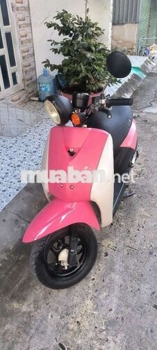 Honda Today 50cc Hồng Học sinh