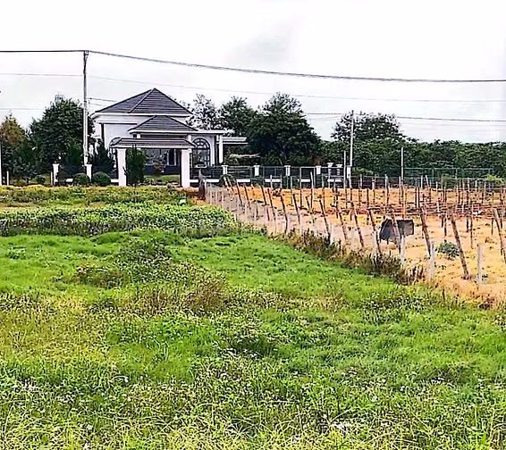 Công ty Đấu giá hợp danh Lam Sơn Sài Gòn thông báo đấu giá tài sản