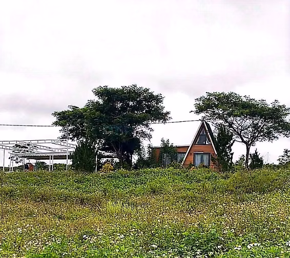 Công ty Đấu giá hợp danh Lam Sơn Sài Gòn thông báo đấu giá tài sản