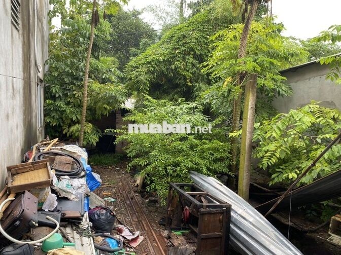 NHÀ CẤP 4 911 TỈNH LỘ 7, BÀU ĐIỀU THƯỢNG,PHƯỚC THẠNH, 2 TRIỆU/THANG